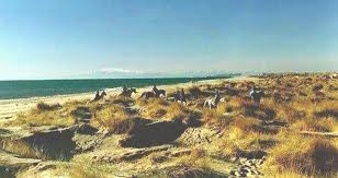 portiranges_1_south_france_holiday_villas