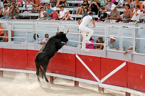 toro_piscine_1_south_france_holiday_villas