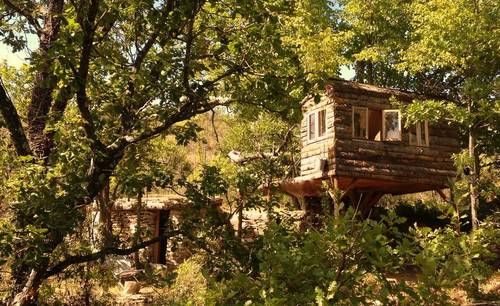 Wild_Boar_Retreat_3_owners_experiences_south_france_holiday_villas