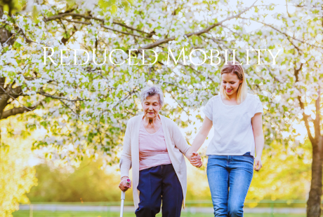 Find a holiday rental for people with reduced mobility in the South of France