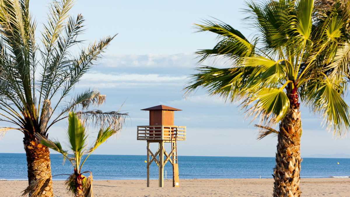 Languedoc-sandy-beach-with-palm-trees